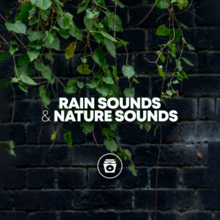 Rain Sounds & Nature Sounds