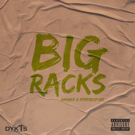 Big Racks ft. Gingko & NTMTRESFORT | Boomplay Music