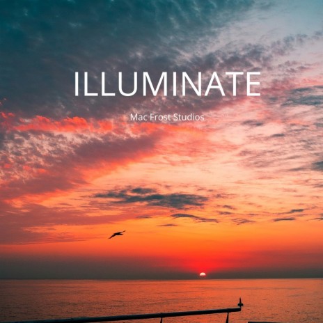 Illuminate | Boomplay Music