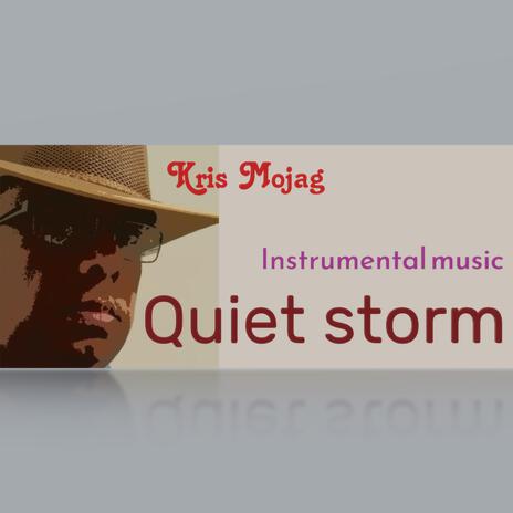 Quiet Storm | Boomplay Music