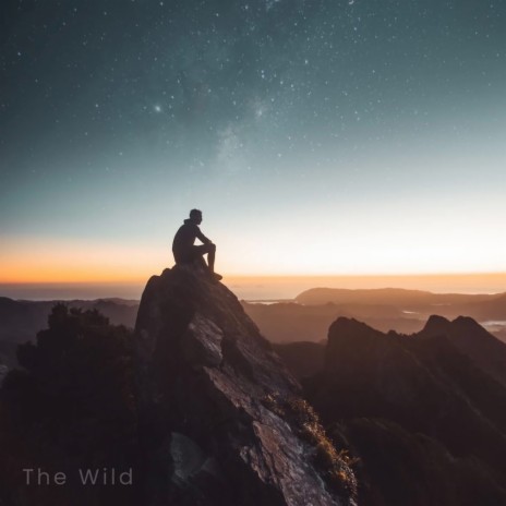 The Wild ft. Ghost Beats | Boomplay Music