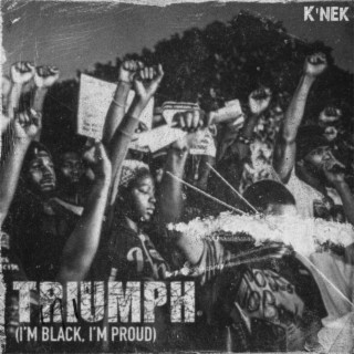 Triumph (I'm Black, I'm Proud) lyrics | Boomplay Music