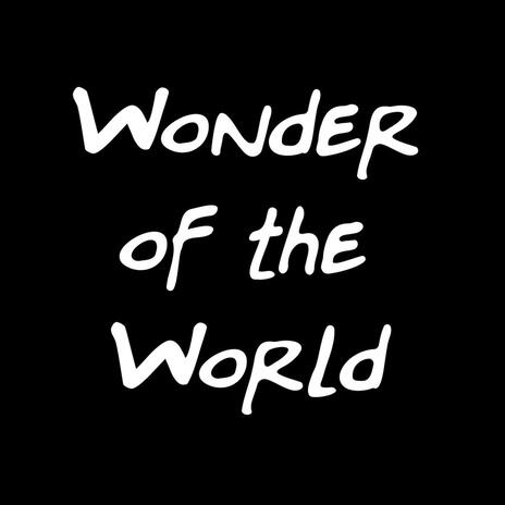 Wonder of the World | Boomplay Music