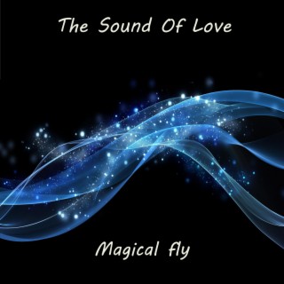 Magical fly