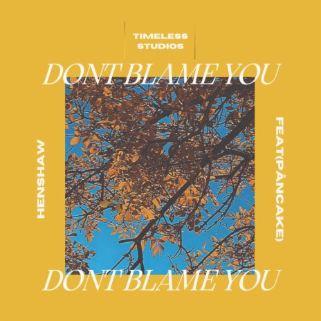 Dont Blame You ft. Pâncake | Boomplay Music