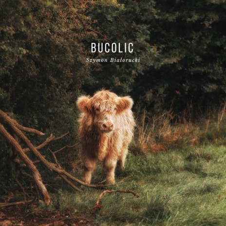 Bucolic ft. Tomasz Dąbrowski, Szymon Wójcik & Filip Arasimowicz