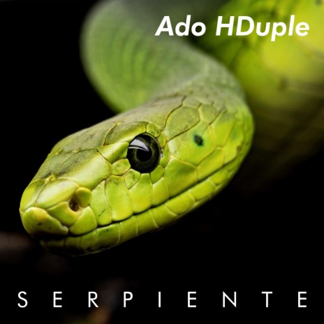 Serpiente | Boomplay Music