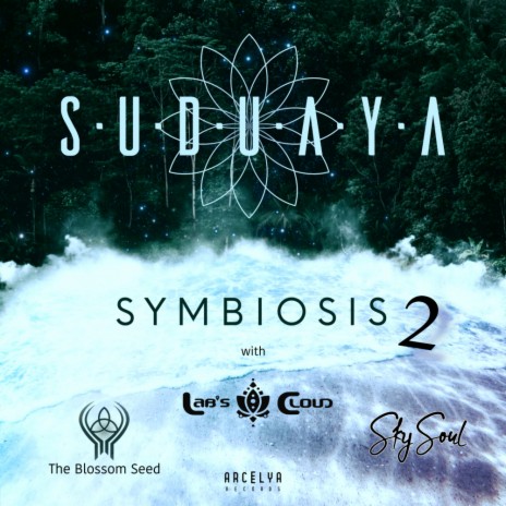 Plumeria ft. Suduaya | Boomplay Music