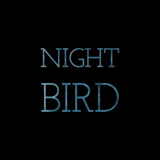 Night Bird