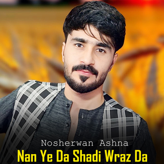 Nan Ye Da Shadi Wraz Da