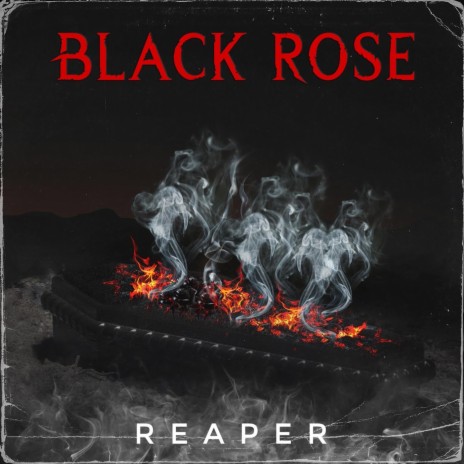 Black Rose | Boomplay Music