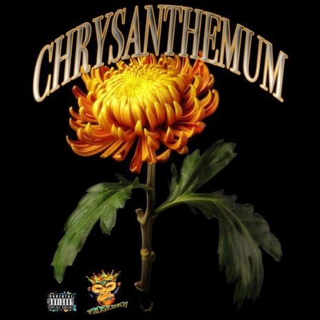 Chrysanthemum | Boomplay Music