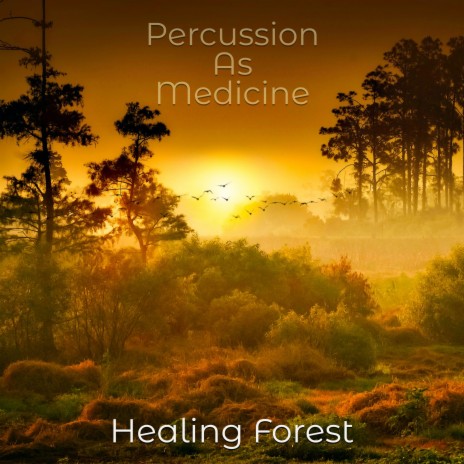 Healing Forest | Boomplay Music