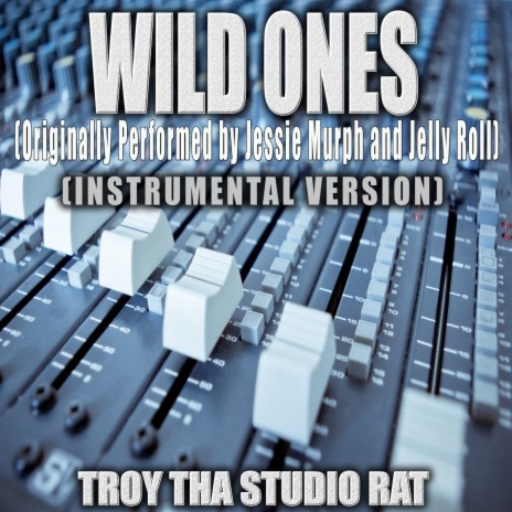 Wild Ones (Originally Performed by Jessie Murph and Jelly Roll) (Instrumental Version) | Boomplay Music