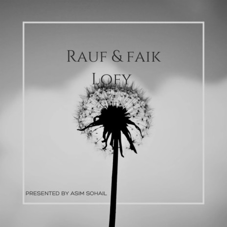 Rauf & Faik 🅴 | Boomplay Music