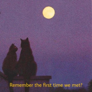 Remember the first time we met?