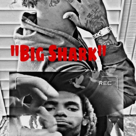 Big Shark ft. Najee | Boomplay Music