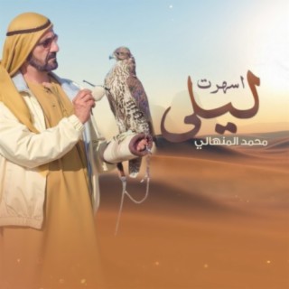 محمد المنهالي