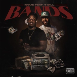 Bands ft. T-Dill lyrics | Boomplay Music