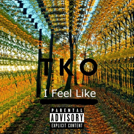 I Feel Like | Boomplay Music