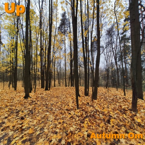 Autumn Om | Boomplay Music