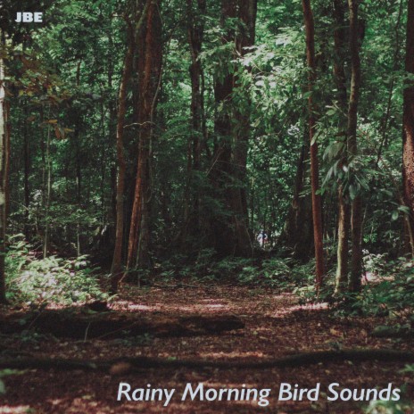 Birds In The Woods | Boomplay Music