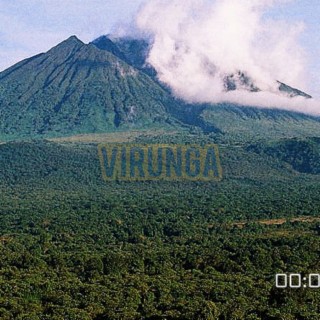 Virunga