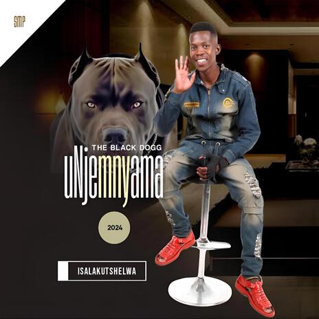 Asikuhlinzi uphila (jaiva zimnike) | Boomplay Music