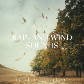 Rain and Wind Sounds