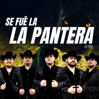 Se fue la pantera (Radio Edit)