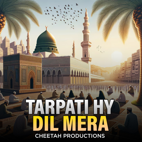 Tarpati Hy Dil Mera | Boomplay Music