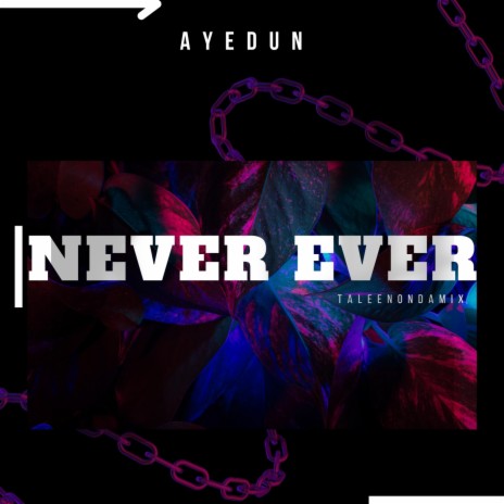NEVER EVER | Boomplay Music