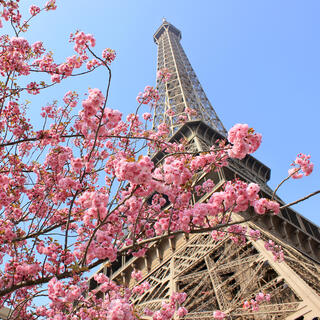 Lumières de Paris