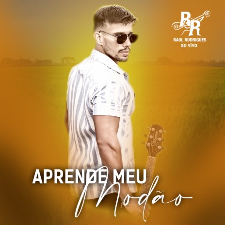 Aprende Meu Modão | Boomplay Music