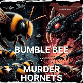 Bumble Bee v Murder Hornets