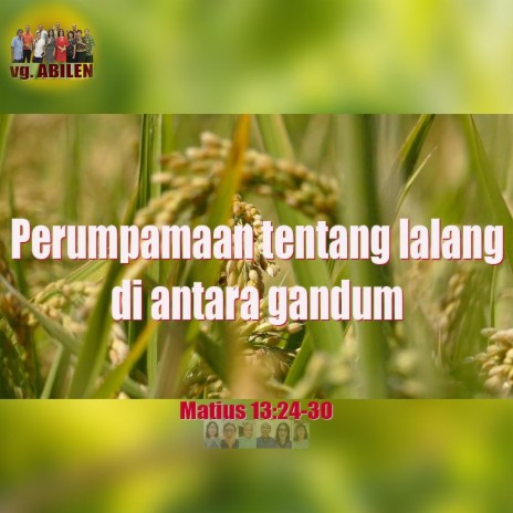 Perumpamaan tentang lalang di antara gandum | Boomplay Music