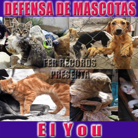 Defensa De Mascotas