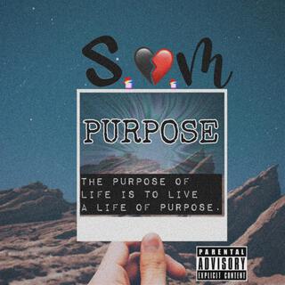 Purpose