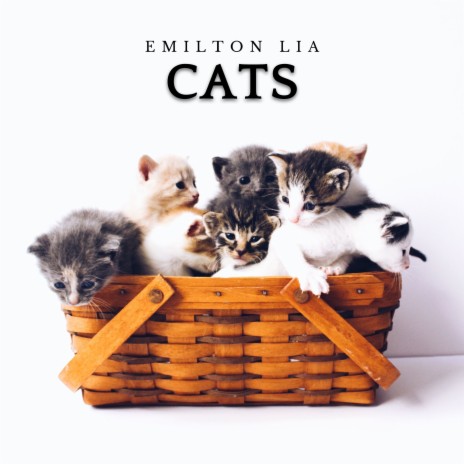 Catty Catty | Boomplay Music