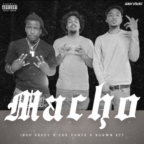 Macho ft. C.O.E.Yante & Shawn Eff | Boomplay Music