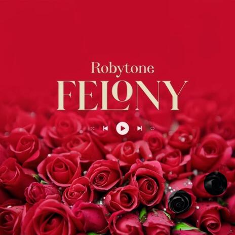 Felony | Boomplay Music