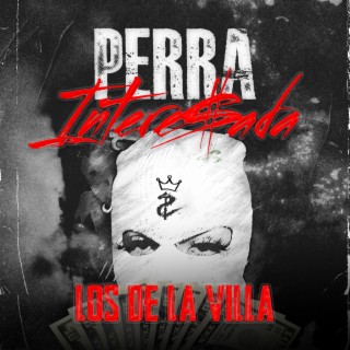 Perra Interesada lyrics | Boomplay Music