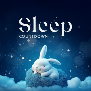 Sleep Countdown: Cure for Trouble Sleeping, Fall Asleep Fast and Naturally