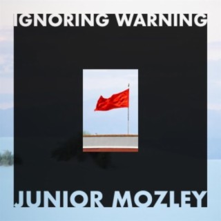 Ignoring Warning