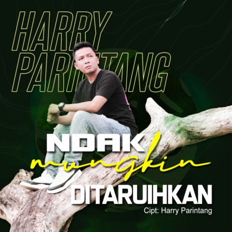 Ndak Mungkin Ditaruihkan | Boomplay Music