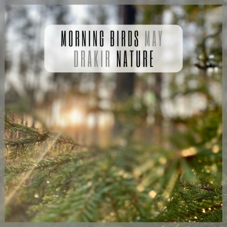 Morning Birds May | Boomplay Music