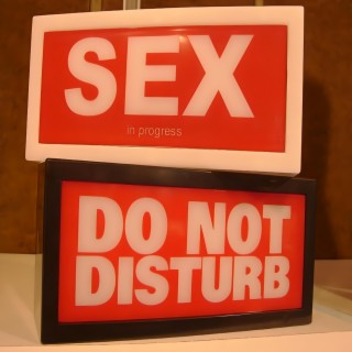 Don't Disturb the Sex / Sex Song