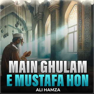 Main Ghulam e Mustafa Hon