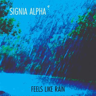 Feels Like Rain lyrics | Boomplay Music