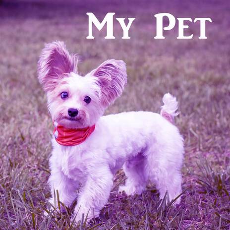 My Pet | Boomplay Music